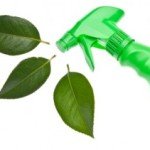 städa mer miljövänligt med dessa rengöringsprodukter